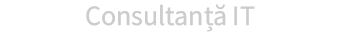 consultanta IT